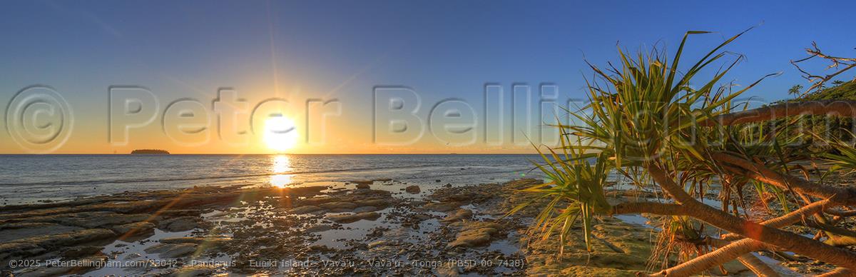 Peter Bellingham Photography Pandanus - Eueiki Island - Vava'u - Vava'u - Tonga (PB5D 00 7438)